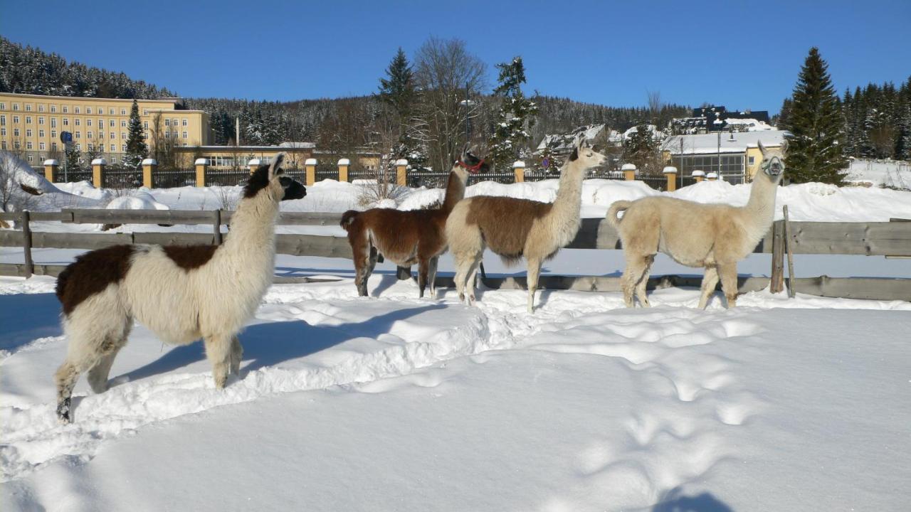 Alte Schleiferei Hotel Breitenbrunn  Luaran gambar